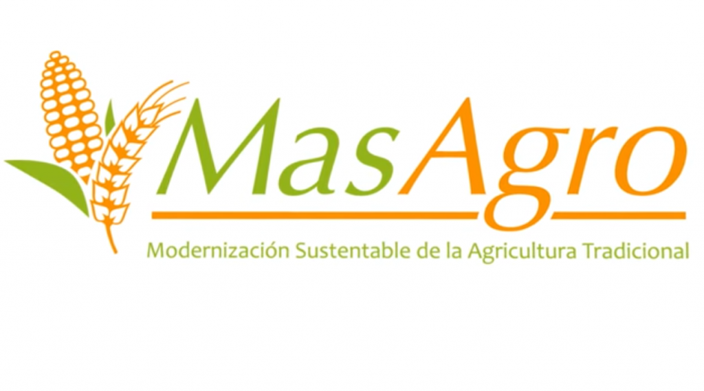 video-granos-masagro