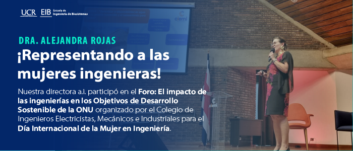 Representando a las mujeres ingenieras. Dr. Alejandra Rojas G.