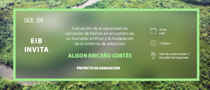 Defensa de TFG Alison Briceño C